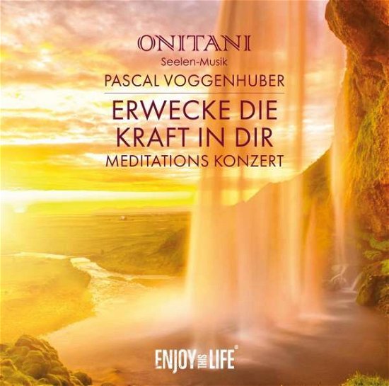 Cover for Voggenhuber Pascal · Erwecke Die Kraft in Dir (CD) (2020)