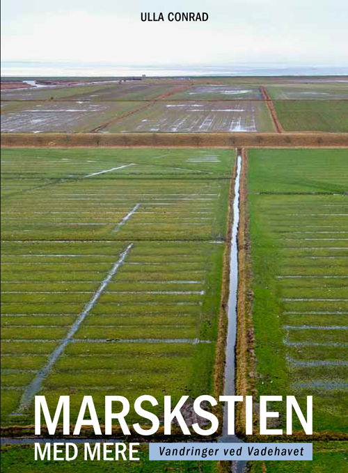 Cover for Ulla Conrad · Marskstien (Sewn Spine Book) [1th edição] (2021)