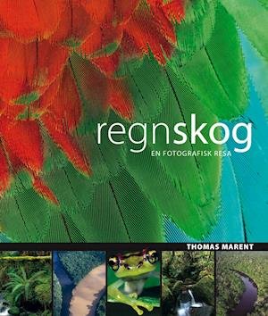 Cover for Ben Morgan · Regnskog : [en fotografisk resa] (Bound Book) (2006)