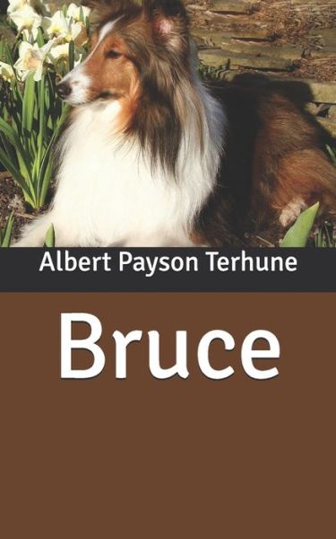 Cover for Albert Payson Terhune · Bruce (Paperback Book) (2020)