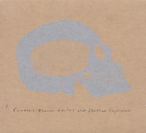 Cover for Enablers · Blown Realms And Stalled Explosions (CD) (2011)