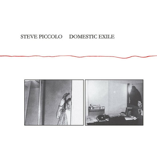 Cover for Steve Piccolo · Domestic Exile (LP) (2020)