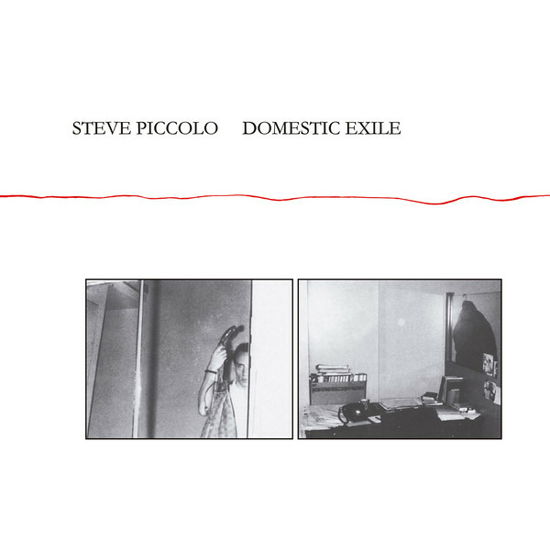 Domestic Exile - Steve Piccolo - Music - MENTAL EXPERIENCE - 4040824089542 - March 20, 2020