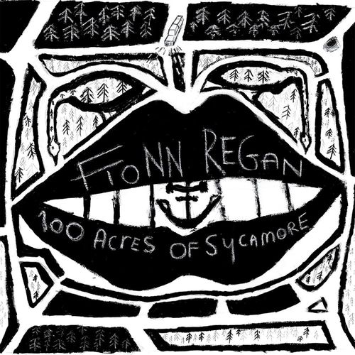 Cover for Regan Fionn · 100 Acres of Sycamore (LP) [Limited edition] (2021)