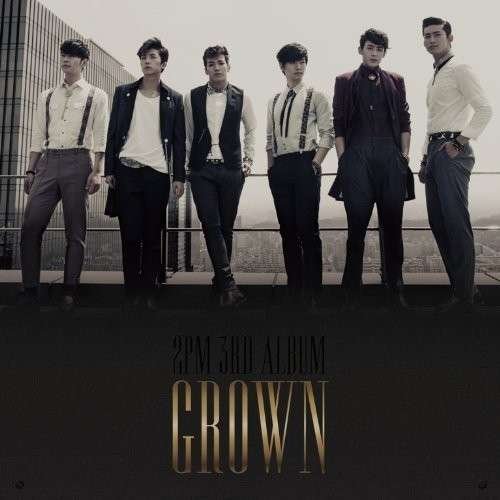 Grown - 2pm - Muziek - JYP ENTERTAINMENT - 8809314512542 - 21 mei 2013