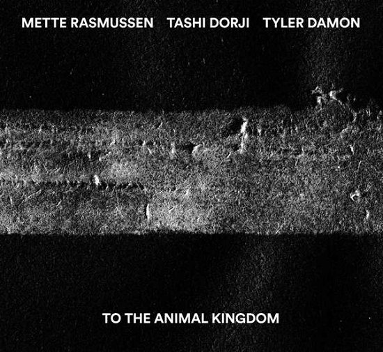 Cover for Rasmussen / Dorji / Damon · To The Animal Kingdom (CD) (2017)