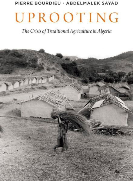 Cover for Bourdieu, Pierre (College de France) · Uprooting: The Crisis of Traditional Algriculture in Algeria (Paperback Book) (2020)