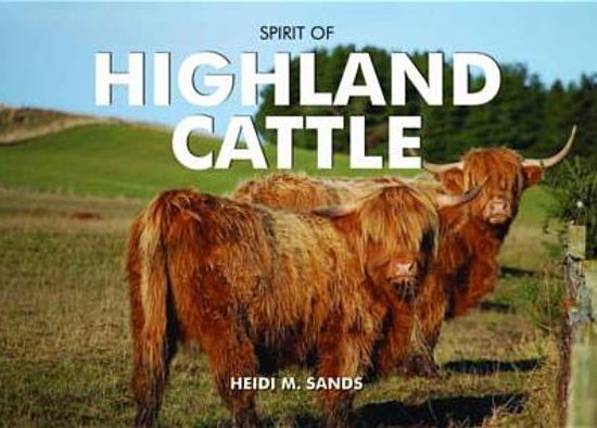Heidi M. Sands · Spirit of Highland Cattle - Spirit of Britain (Gebundenes Buch) (2011)