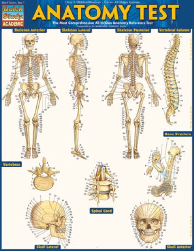 Cover for Vincent Perez · Anatomy Test Reference Guide (Map) (2014)