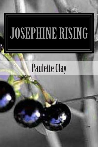 Cover for Paulette Clay · Josephine Rising (Paperback Bog) (2013)