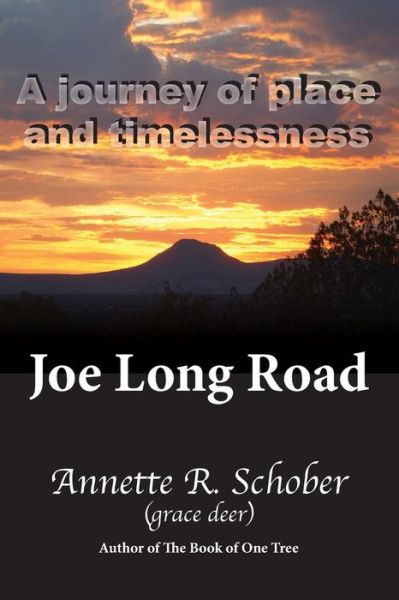 Cover for Annette R Schober · Joe Long Road (Paperback Book) (2015)