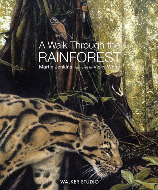 Cover for Martin Jenkins · A Walk Through the Rainforest (Paperback Bog) (2024)