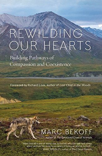 Cover for Marc Bekoff · Rewilding Our Hearts: Building Pathways of Compassion and Coexistence (Paperback Book) (2014)