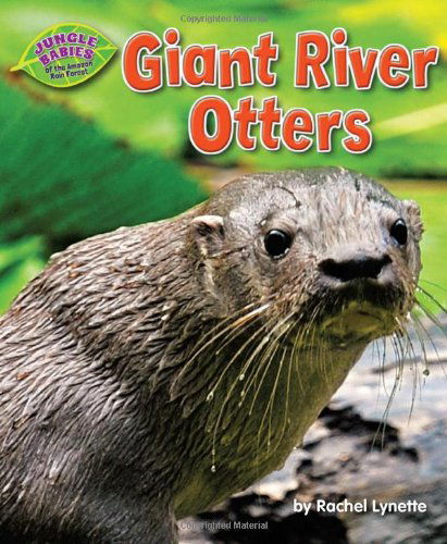 Cover for Rachel Lynette · Giant River Otters (Jungle Babies of the Amazon Rain Forest) (Hardcover Book) (2013)