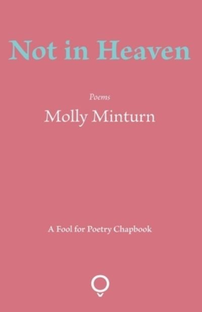 Not in Heaven - Molly Minturn - Książki - Southword Editions - 9781905002542 - 14 lutego 2018