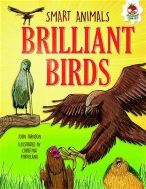 Brilliant Birds : Ace Mimics, Night Hunters and Epic Journeys - John Farndon - Bøger - Hungry Tomato Ltd - 9781910684542 - 10. juni 2016