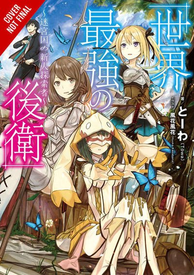 Cover for Towa · World's Strongest Rearguard: Labyrinth Country &amp; Dungeon Seekers, Vol. 1 (light novel) (Paperback Book) (2019)