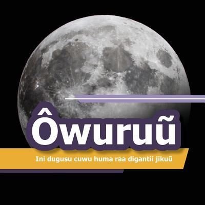 Owuruu - Usuman Biran - Books - Createspace Independent Publishing Platf - 9781985806542 - February 22, 2018