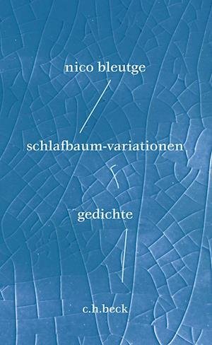 Cover for Nico Bleutge · Schlafbaum-variationen (Book) (2023)