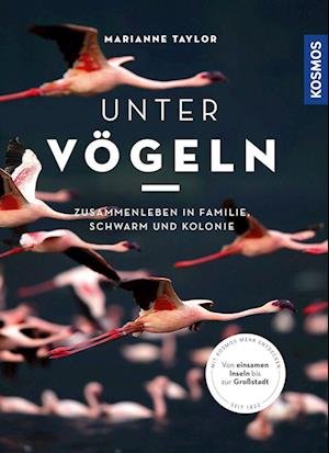 Cover for Marianne Taylor · Unter Vögeln (Bog) (2023)