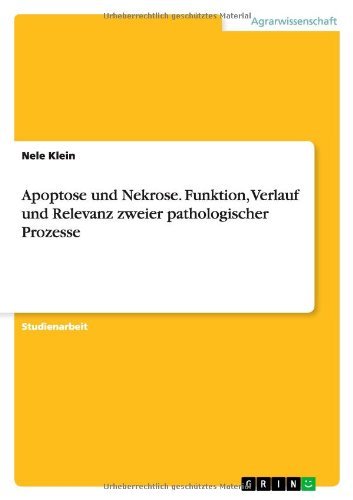 Cover for Nele Klein · Apoptose Und Nekrose. Funktion, Verlauf Und Relevanz Zweier Pathologischer Prozesse (Paperback Book) [German edition] (2014)