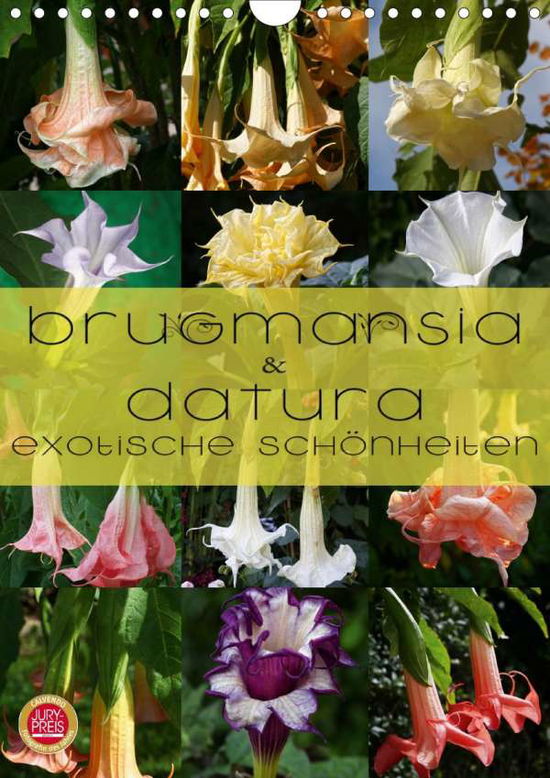 Cover for Cross · Brugmansia &amp; Datura - Exotische S (Book)