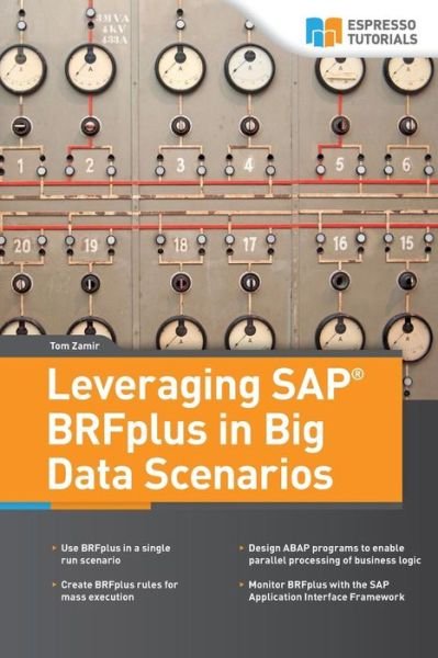 Cover for Zamir · Leveraging SAP BRFplus in Big Dat (Bok) (2018)