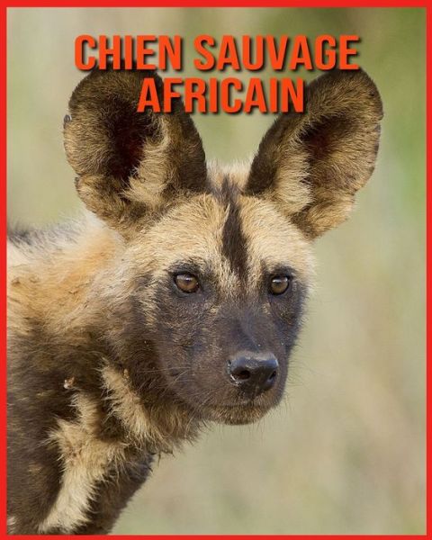 Cover for Alicia Moore · Chien Sauvage Africain (Paperback Book) (2021)