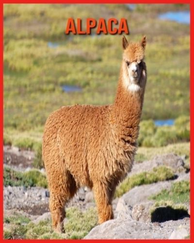 Cover for Linda Davis · Alpaca (Paperback Book) (2021)