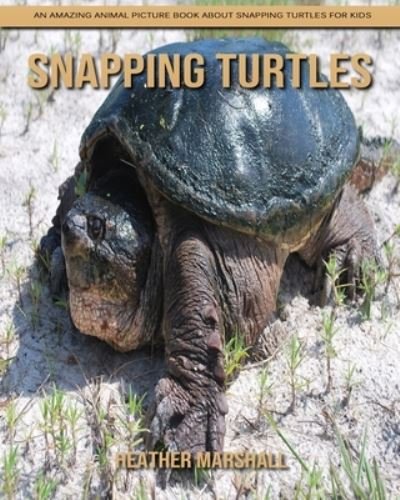 Cover for Heather Marshall · Snapping Turtles: An Amazing Animal Picture Book about Snapping Turtles for Kids (Paperback Book) (2021)