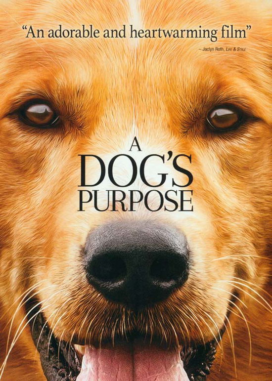 Cover for Dog's Purpose (DVD) (2017)