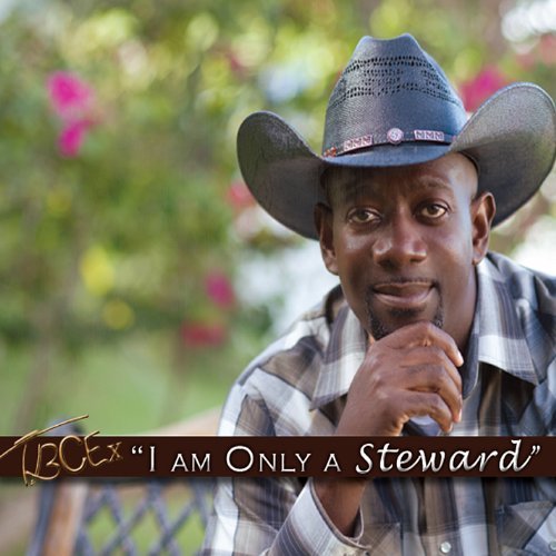 Cover for Thaddeus Bruno · I Am Only a Steward (CD) (2013)