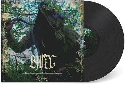 Cover for Bhleg · Faghring (LP) (2022)