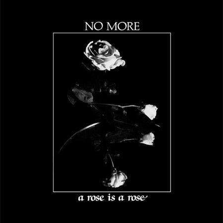 A Rose is a Rose - No More - Music - DARK ENTRIES - 0730669337543 - June 2, 2015