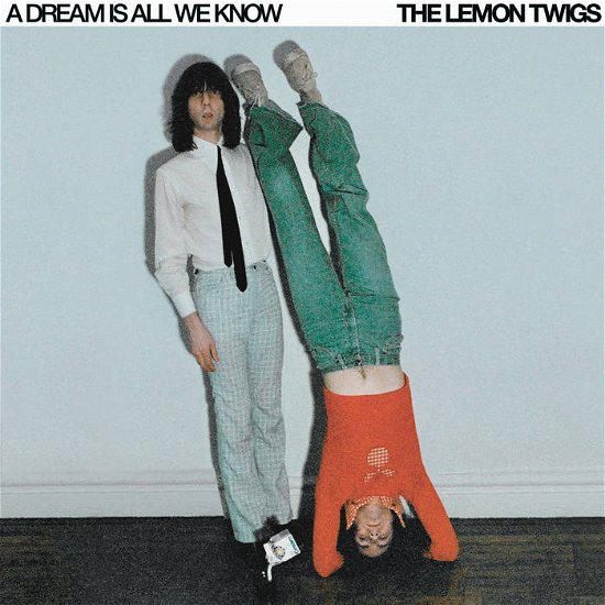 A Dream is All We Know - The Lemon Twigs - Música - ALTERNATIVE - 0817949037543 - 3 de maio de 2024