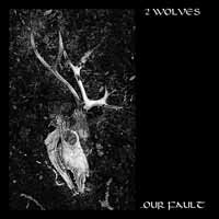 Cover for 2 Wolves · Our Fault (CD) (2019)