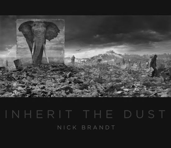 Cover for Nick Brandt · Nick Brandt: Inherit the Dust (Innbunden bok) (2016)