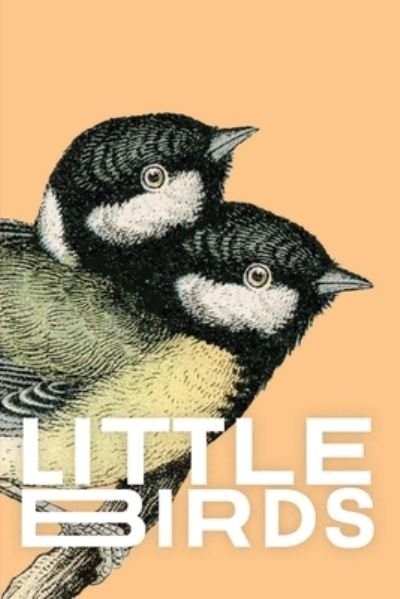 Cover for Sam Pink · Little Birds (Paperback Book) (2021)
