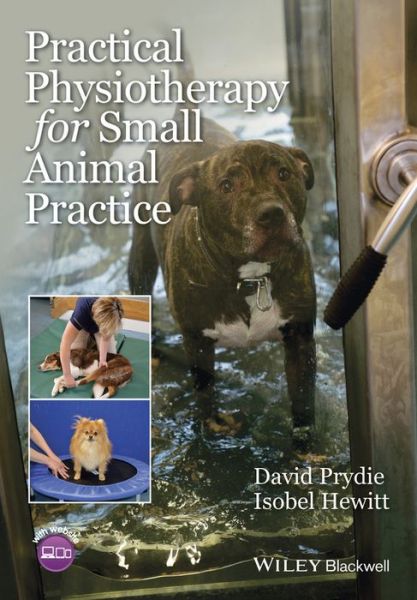 Cover for David Prydie · Practical Physiotherapy for Small Animal Practice (Paperback Book) (2015)