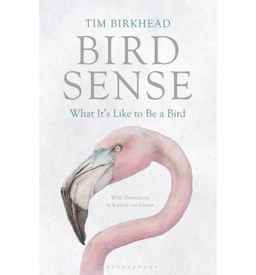 Bird Sense: What It's Like to Be a Bird - Tim Birkhead - Książki - Bloomsbury Publishing PLC - 9781408830543 - 17 stycznia 2013