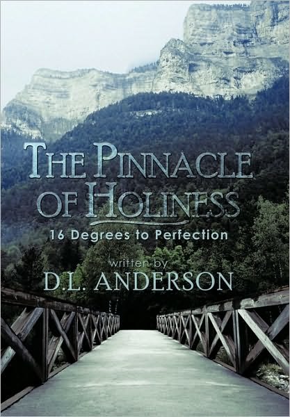 Cover for D L Anderson · The Pinnacle of Holiness: 16 Degrees to Perfection (Pocketbok) (2010)