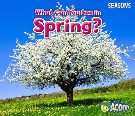 What Can You See in Spring? (Seasons) - Sian Smith - Bøker - Acorn - 9781484603543 - 1. juli 2014