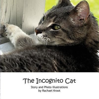 Cover for Rachael Kroot · The Incognito Cat (Paperback Book) (2016)