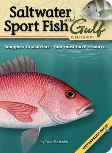 Cover for Dave Bosanko · Saltwater Sport Fish of the Gulf Field Guide - Fish Identification Guides (Paperback Book) (2010)