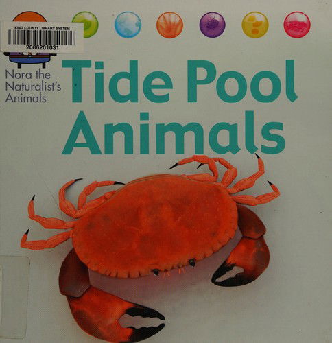 Cover for David West · Tide pool animals (Book) (2013)