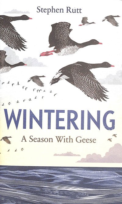 Cover for Stephen Rutt · Wintering: A Season with Geese (Hardcover Book) (2019)