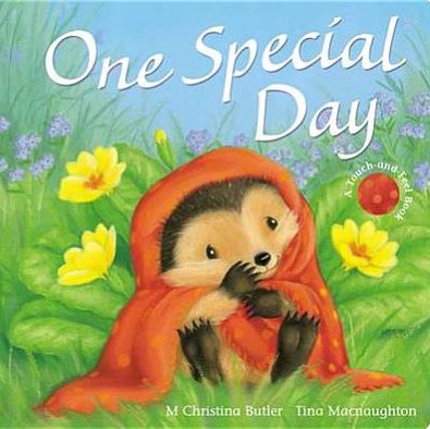 Cover for M Christina Butler · One Special Day - Little Hedgehog (Board book) (2012)