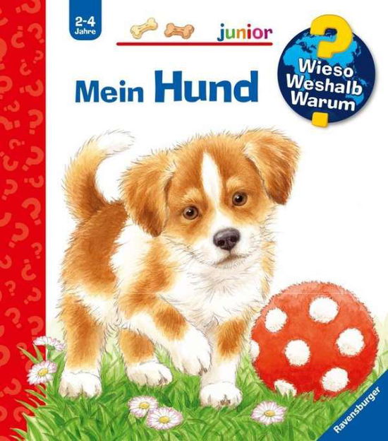 Cover for Weller, Ursula; Mennen, Patricia · Mein Hund (Toys) (2010)