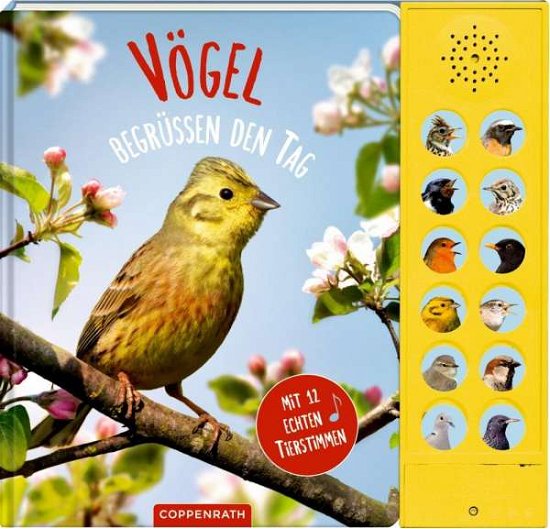 Cover for Haag · Vögel begrüßen den Tag (Book)