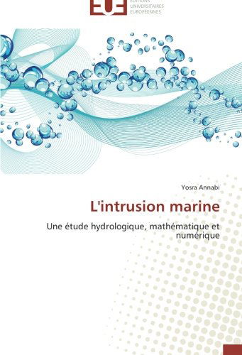 Cover for Yosra Annabi · L'intrusion Marine: Une Étude Hydrologique, Mathématique et Numérique (Paperback Book) [French edition] (2018)